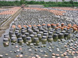 moss field-1.jpg