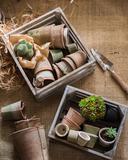 assortment33.jpg