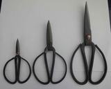 Scissors.jpg